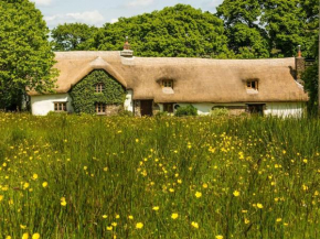 Hay Meadow Farm, Cosy Thatched Holiday Cottage